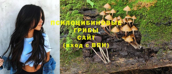 ПСИЛОЦИБИНОВЫЕ ГРИБЫ Дмитриев
