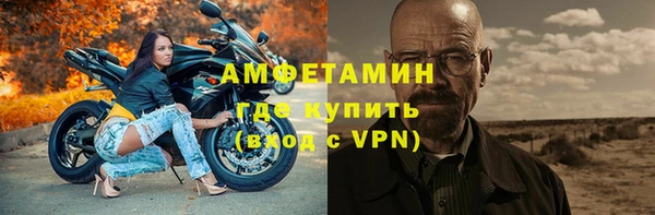 ПСИЛОЦИБИНОВЫЕ ГРИБЫ Дмитриев